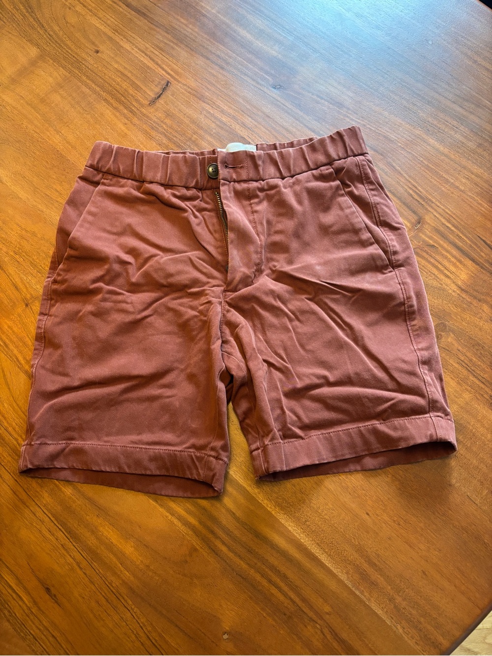 Everlane Men's Chino Shorts in Rust Brown
